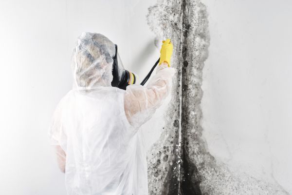 Residential Mold Remediation