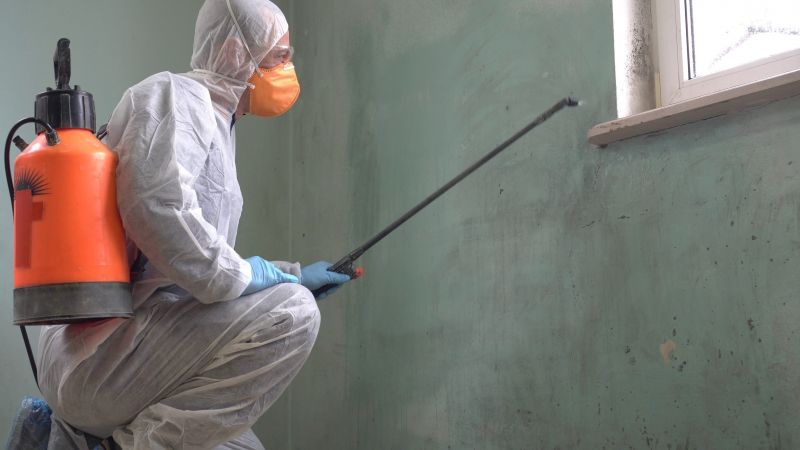 Mold Repair