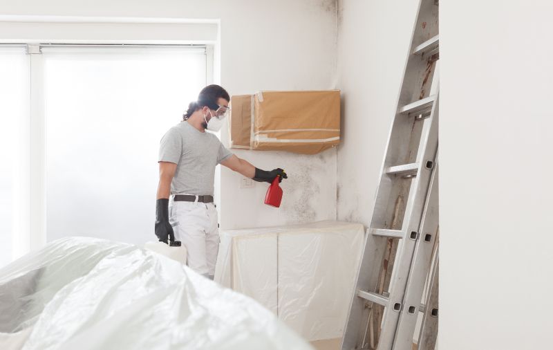 Mold Repair