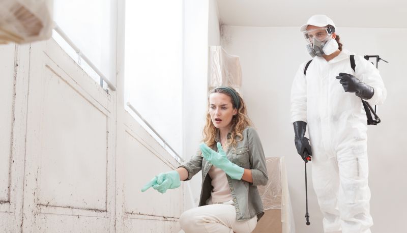 Mold Repair