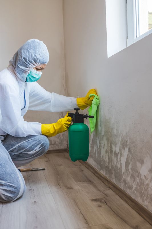 Mold Repair