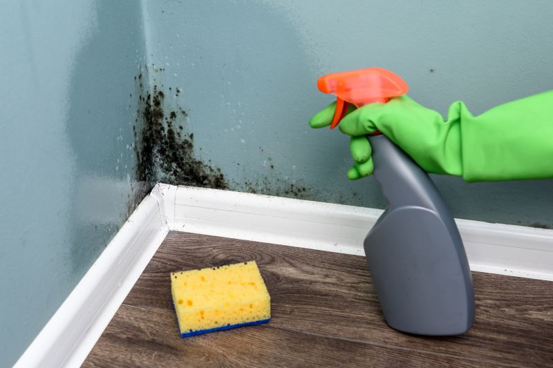 Mold Repair