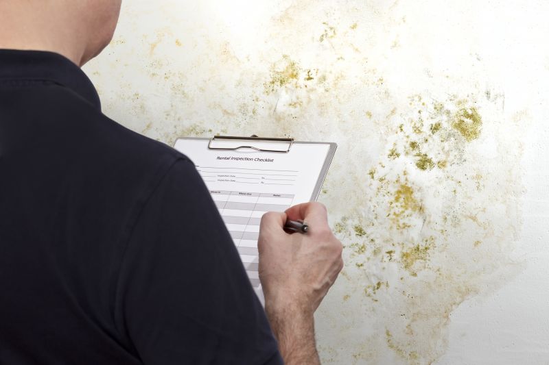 Mold Repair