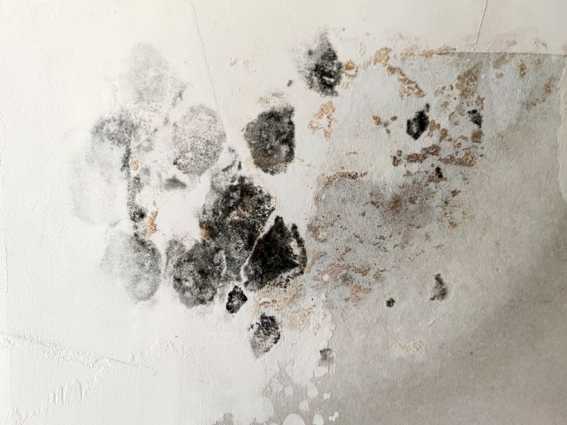 Mold Repair